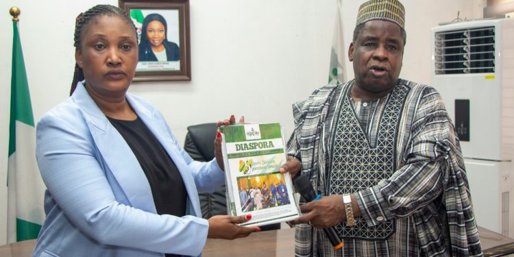 DABIRI-EREWA CALLS FOR STRATEGIC DIASPORA RELATIONS IN MORE AFRICAN COUNTRIES*