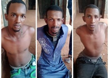 A case of One Day for the Owner.