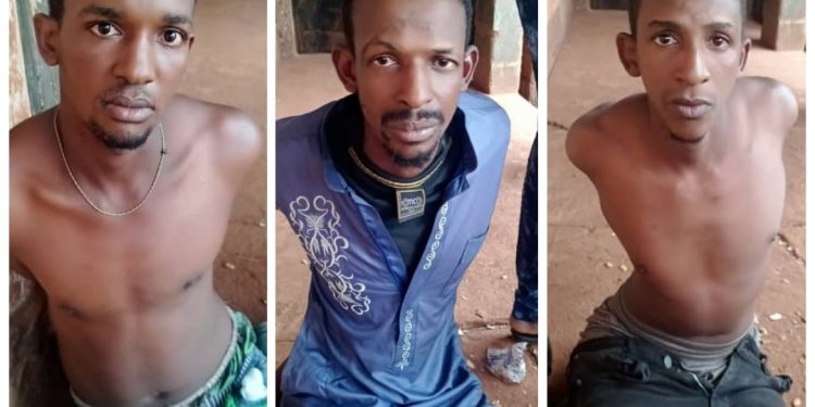 A case of One Day for the Owner.